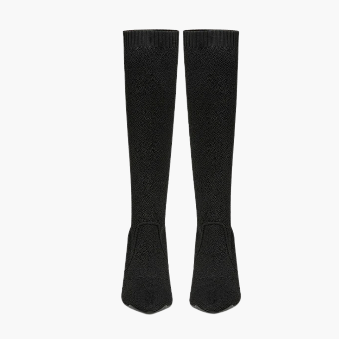 Women's Pointed Toe Heeled High Boot