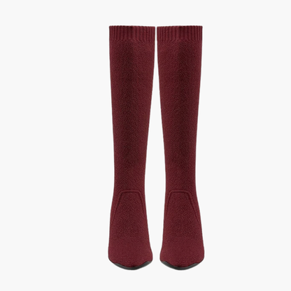 Women's Pointed Toe Heeled High Boot