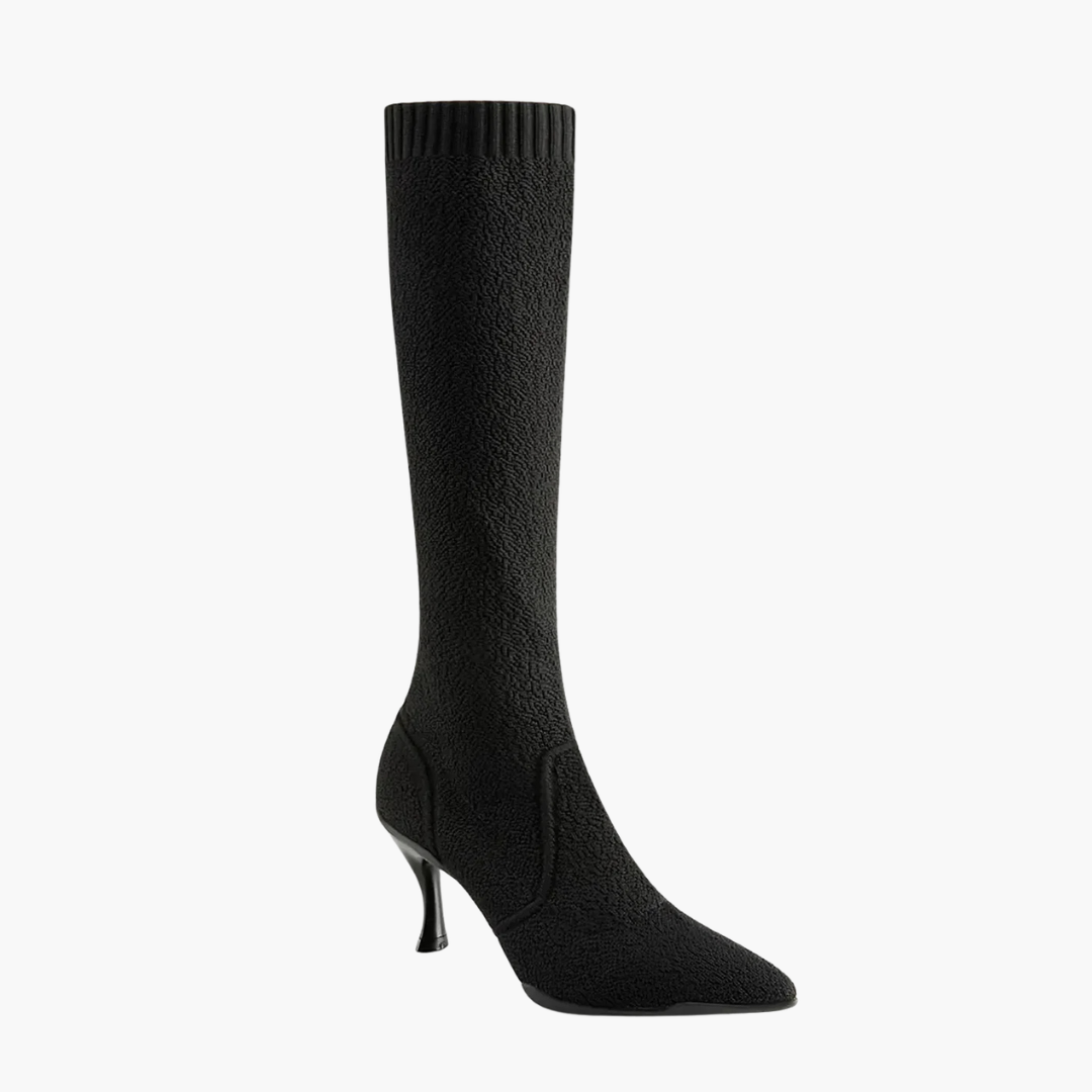 Women's Pointed Toe Heeled High Boot