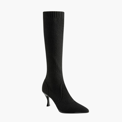 Women's Pointed Toe Heeled High Boot