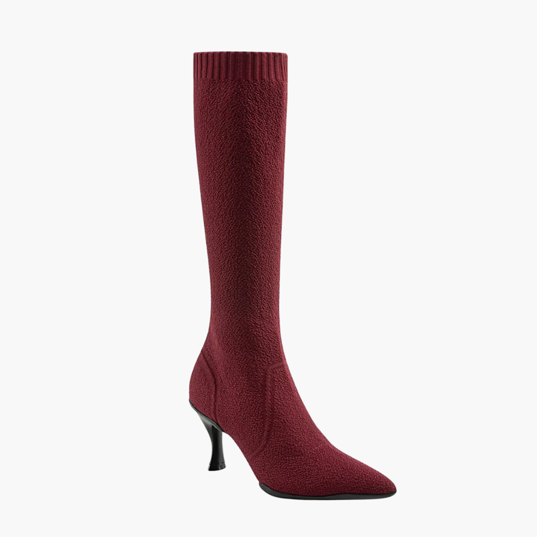 Women's Pointed Toe Heeled High Boot