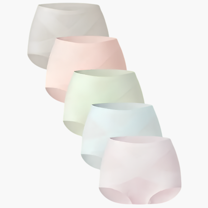Women's Classic Panties, 5-Pack Seamless High Waist Essential Underwear