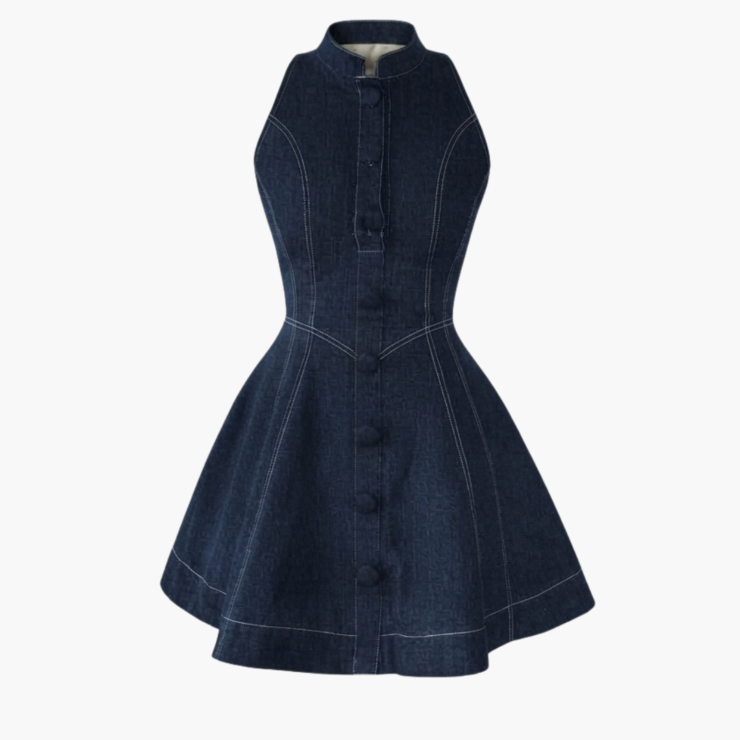 Classic Blueprint Denim Fit-and-Flare Mini Dress