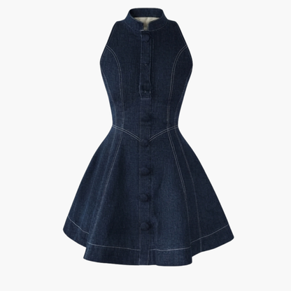 Classic Blueprint Denim Fit-and-Flare Mini Dress